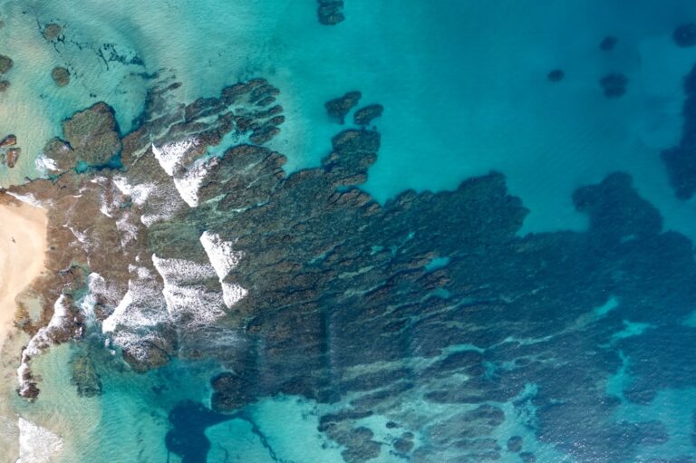 Reasons Maafushi Should Be Your Next Travel Spot